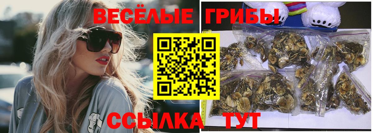 продажа наркотиков  Вход с VPN  Верхний Уфалей  Псилоцибиновые грибы мухоморы 